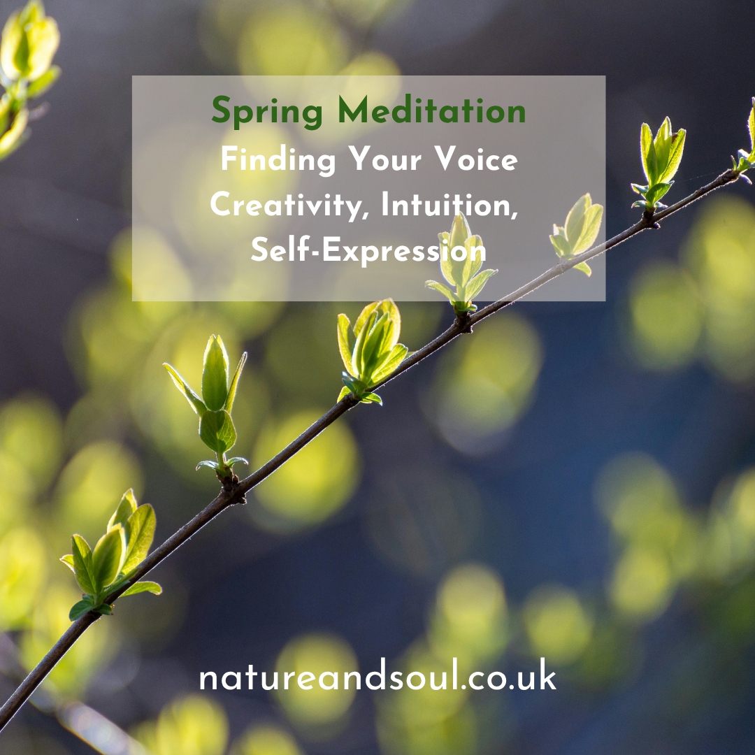 Finding Your Voice: Creativity, Intuition & What Begins to Emerge  