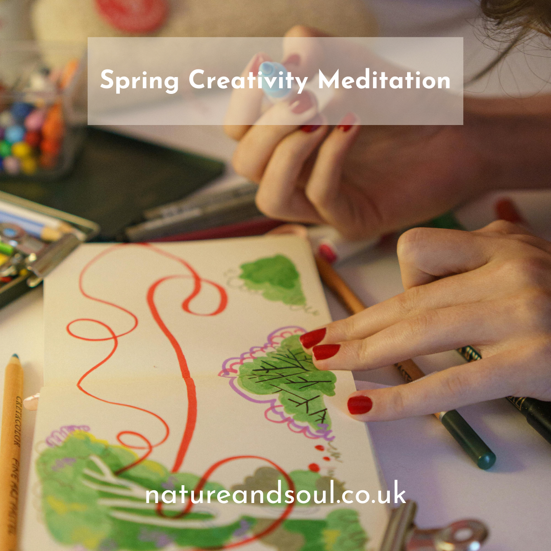 Nature and Soul Newsletter