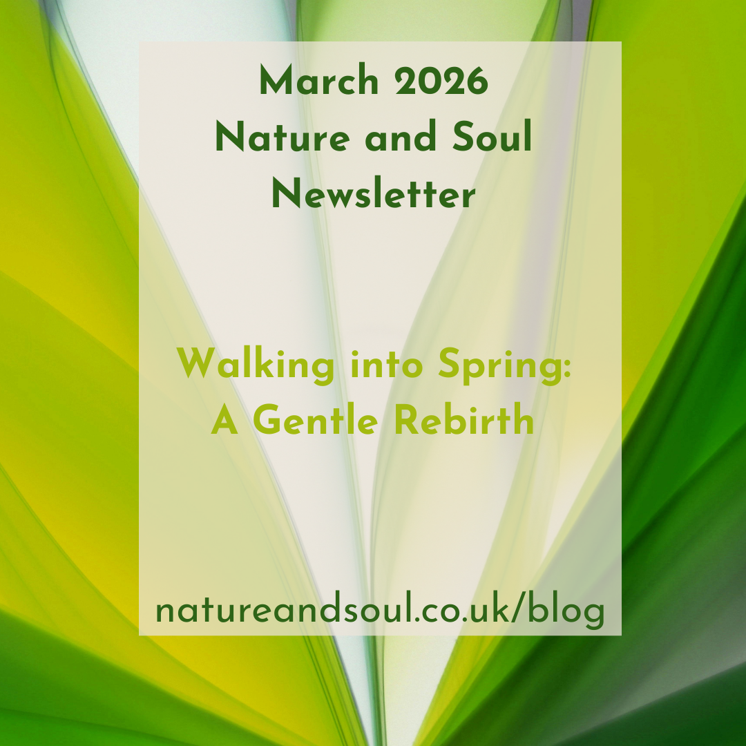 Nature and Soul Monthly Newsletter